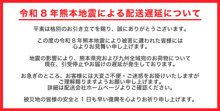 熊本地震遅延
